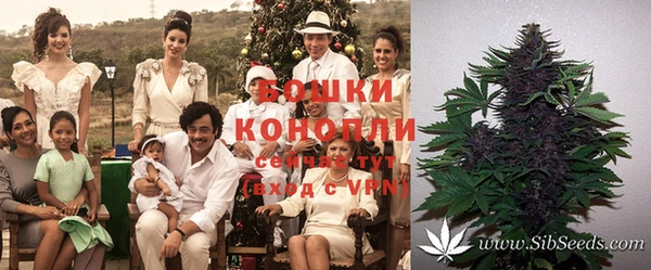 сатива Бугульма