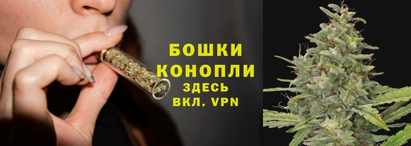 сатива Бугульма