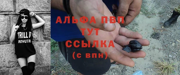сатива Бугульма