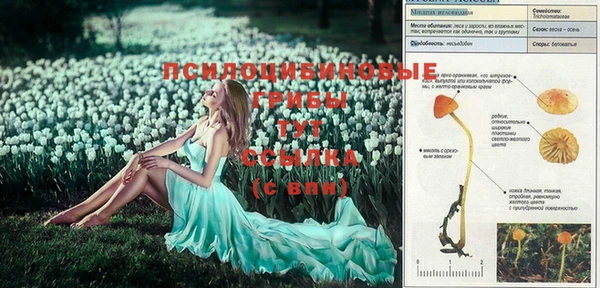 COCAINE Бородино