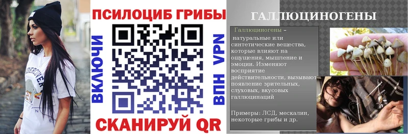 Псилоцибиновые грибы Cubensis  Елабуга 